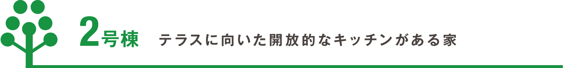 2号棟 テラスに向いた開放的なキッチンがある家